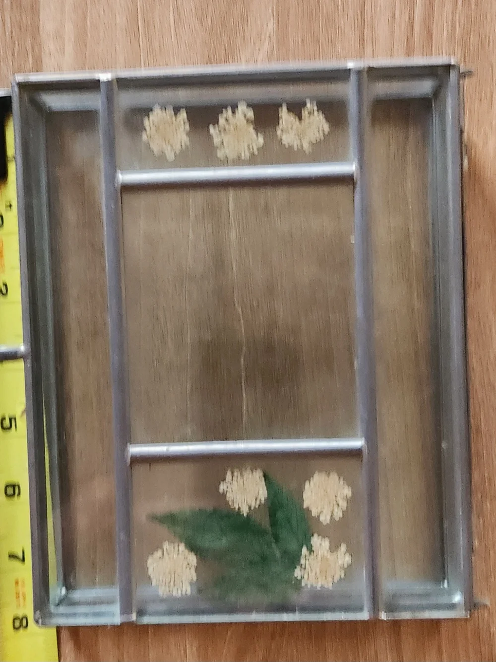 Silver Glass Jewelry Display Box with Pressed Floral Design
